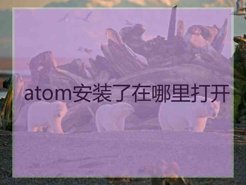 atom安装了在哪里打开