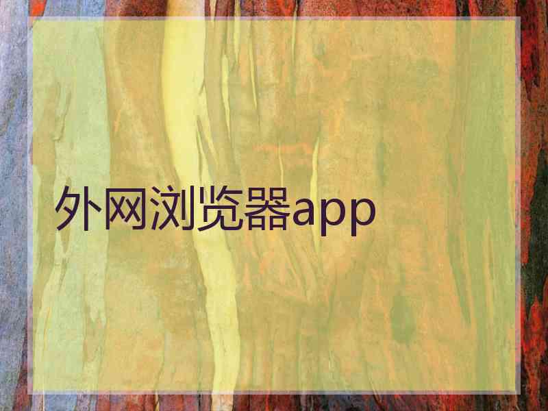 外网浏览器app