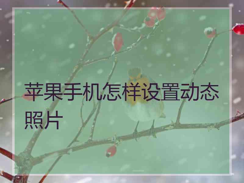 苹果手机怎样设置动态照片