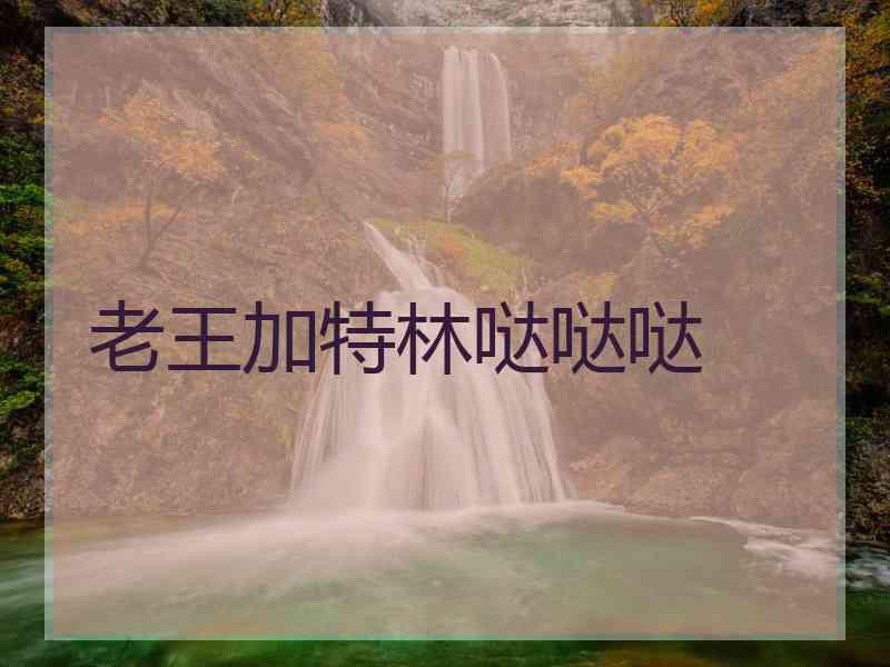 老王加特林哒哒哒