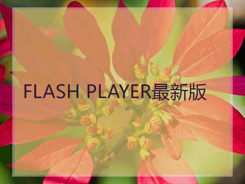 FLASH PLAYER最新版