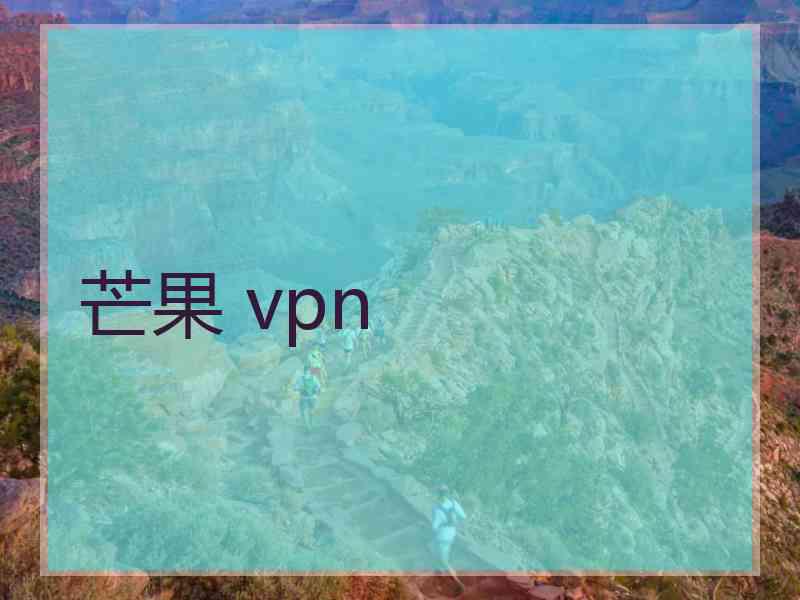 芒果 vpn