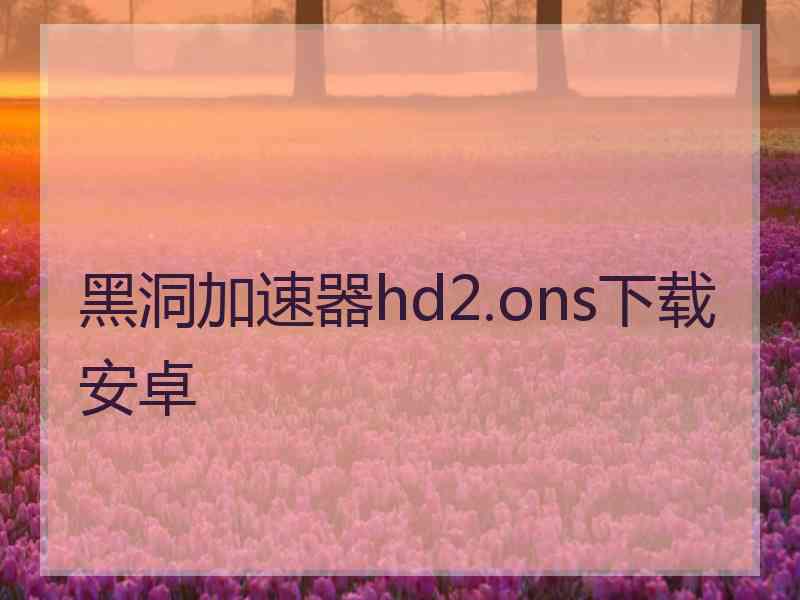 黑洞加速器hd2.ons下载安卓