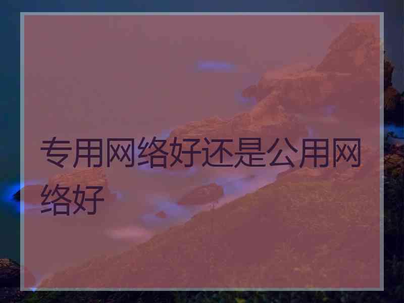 专用网络好还是公用网络好