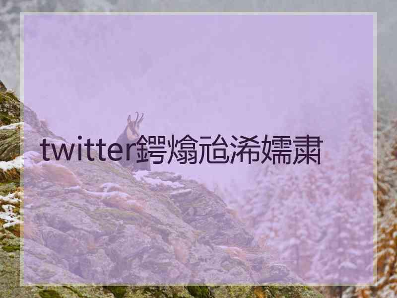 twitter鍔熻兘浠嬬粛