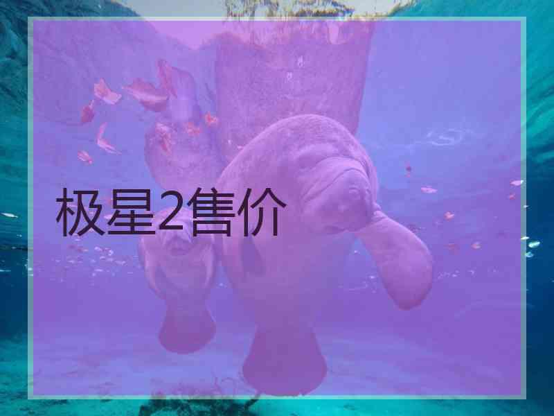 极星2售价