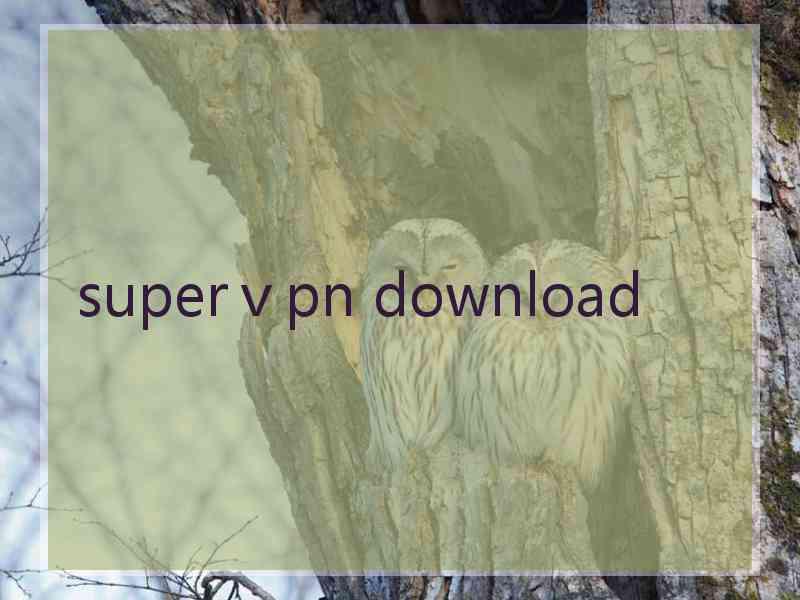 superⅴpn download