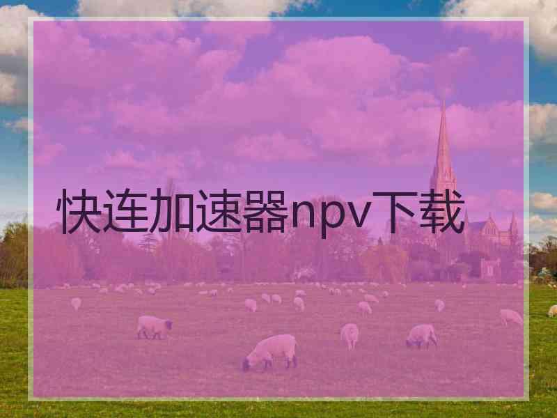 快连加速器npv下载