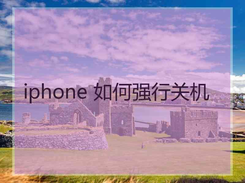 iphone 如何强行关机