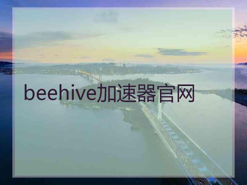 beehive加速器官网