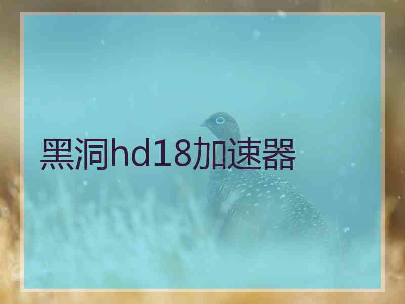 黑洞hd18加速器