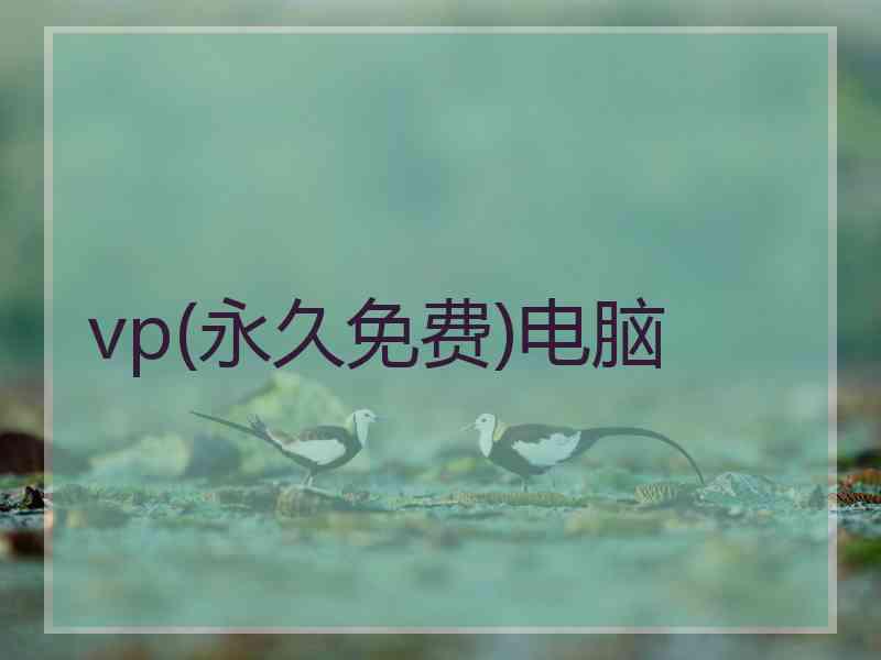 vp(永久免费)电脑