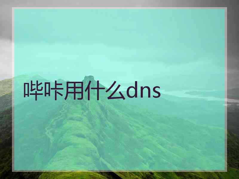 哔咔用什么dns