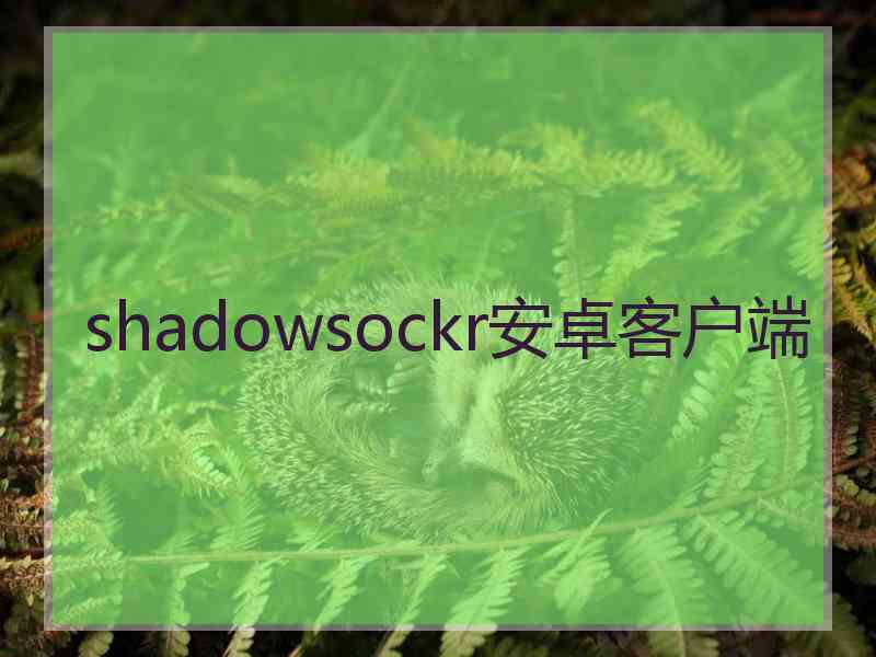 shadowsockr安卓客户端