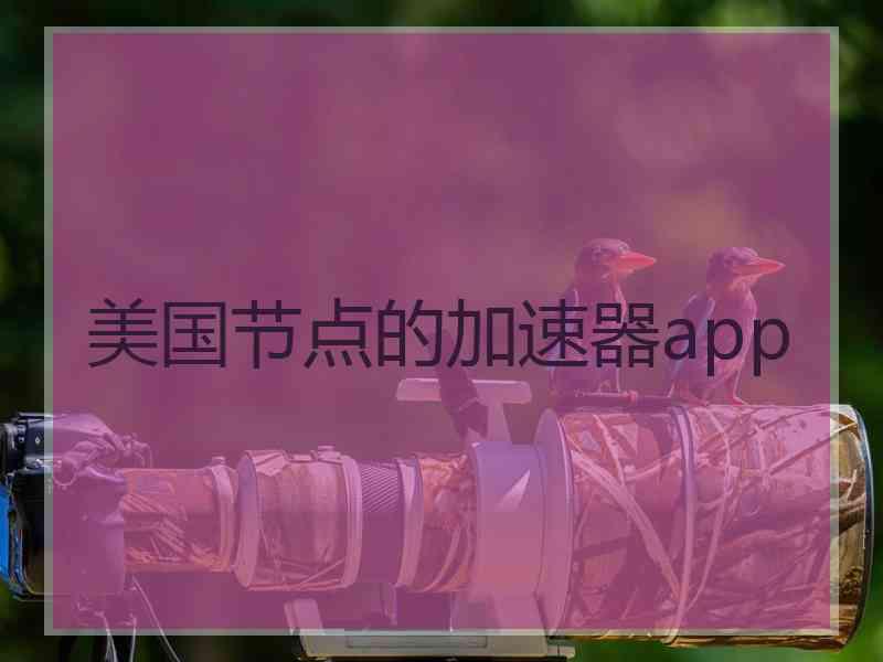 美国节点的加速器app