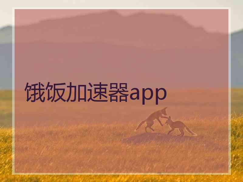 饿饭加速器app