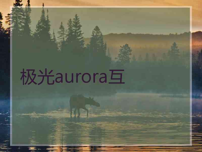 极光aurora互