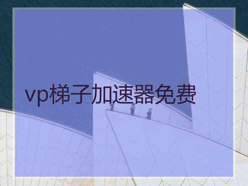 vp梯子加速器免费