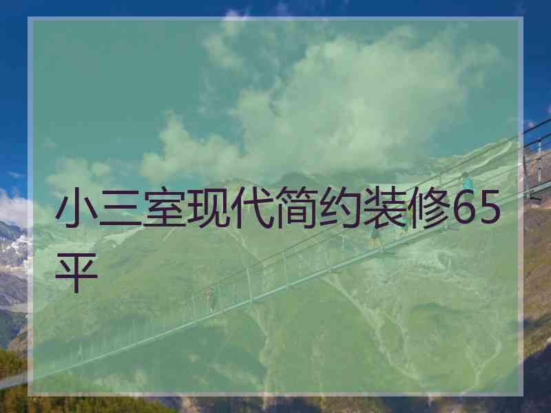 小三室现代简约装修65平