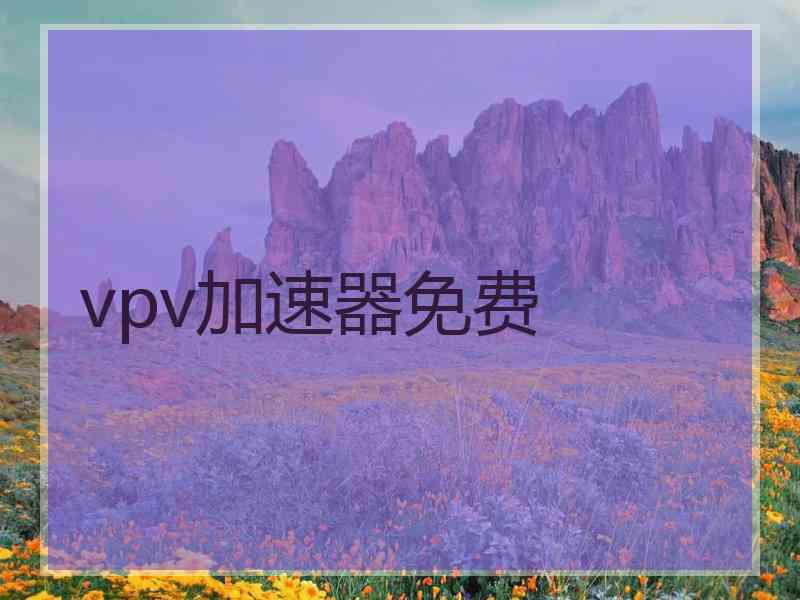 vpv加速器免费