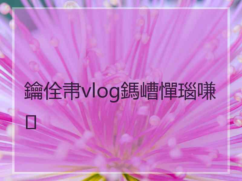 鑰佺帇vlog鎷嶆憚瑙嗛