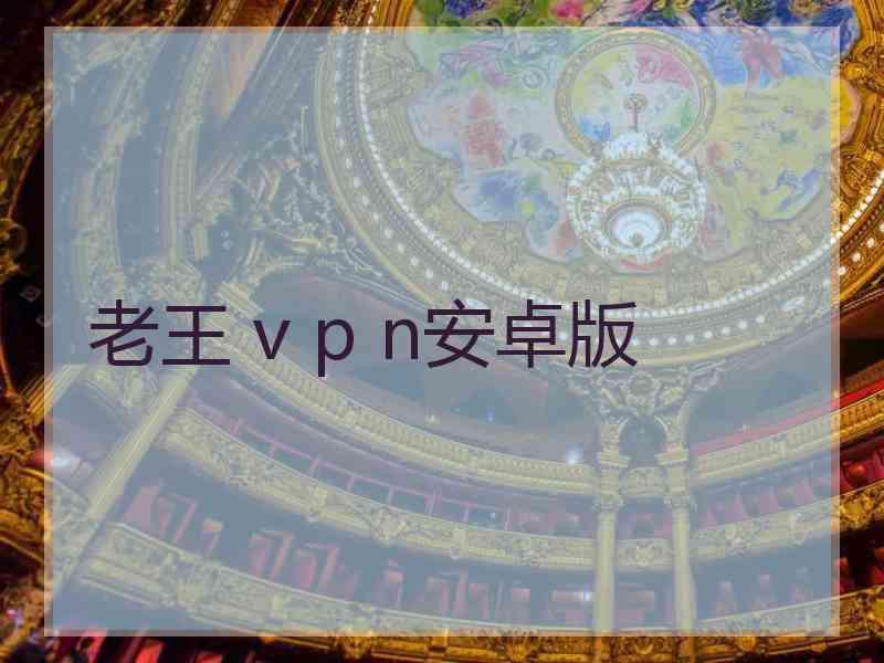 老王 v p n安卓版