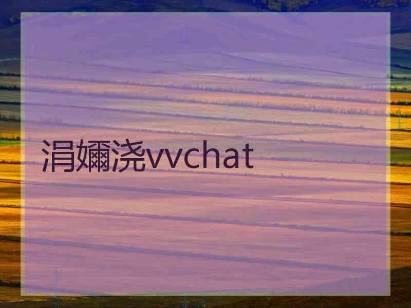 涓嬭浇vvchat