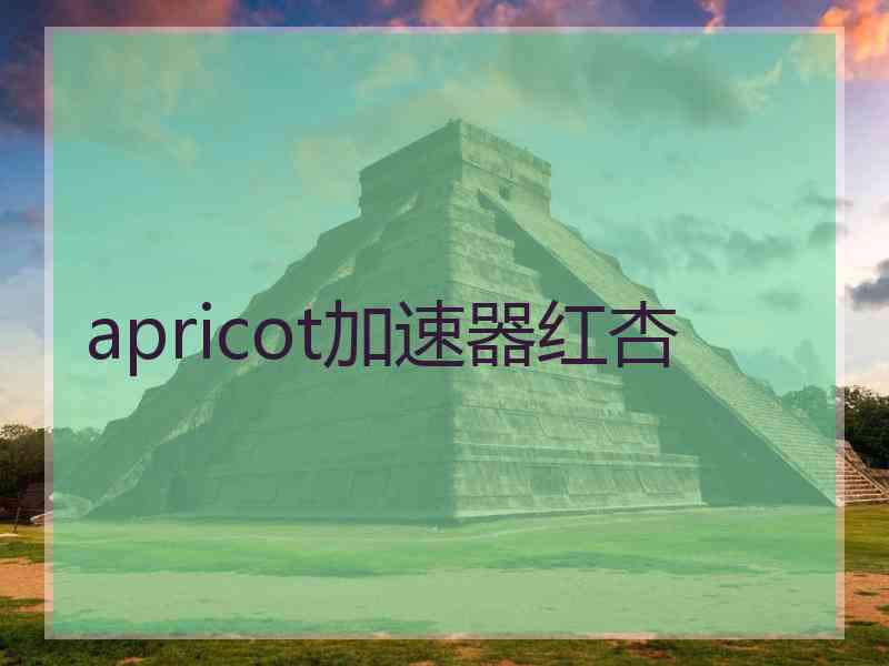 apricot加速器红杏