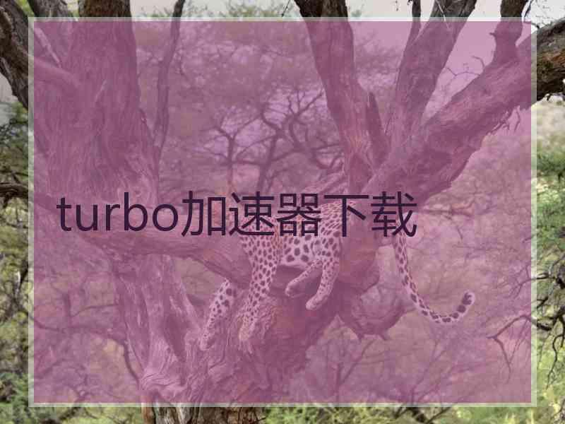 turbo加速器下载