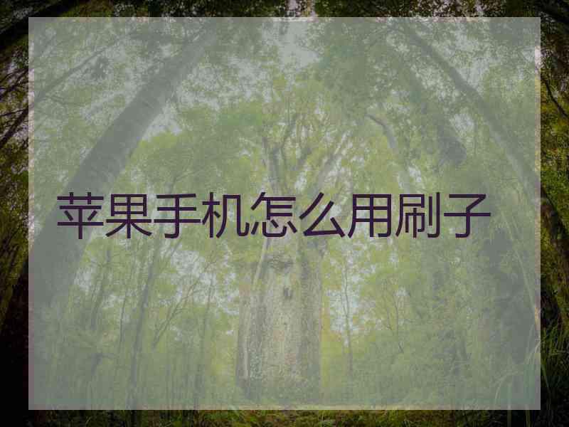 苹果手机怎么用刷子