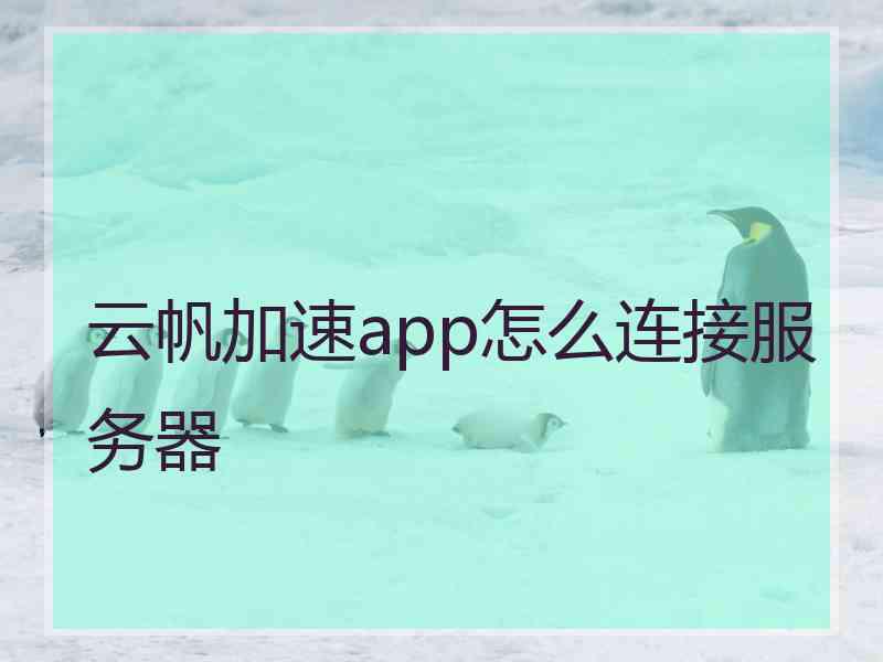 云帆加速app怎么连接服务器