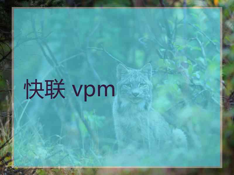 快联 vpm