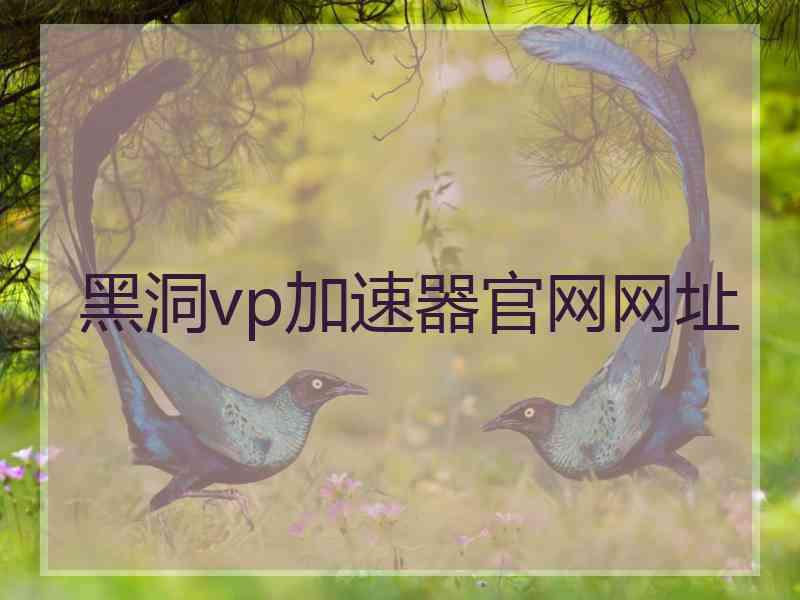 黑洞vp加速器官网网址