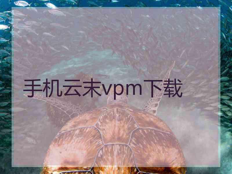 手机云末vpm下载