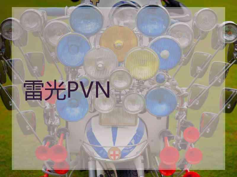 雷光PVN