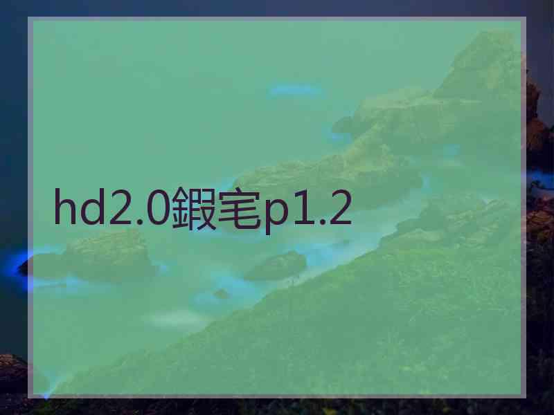 hd2.0鍜宒p1.2