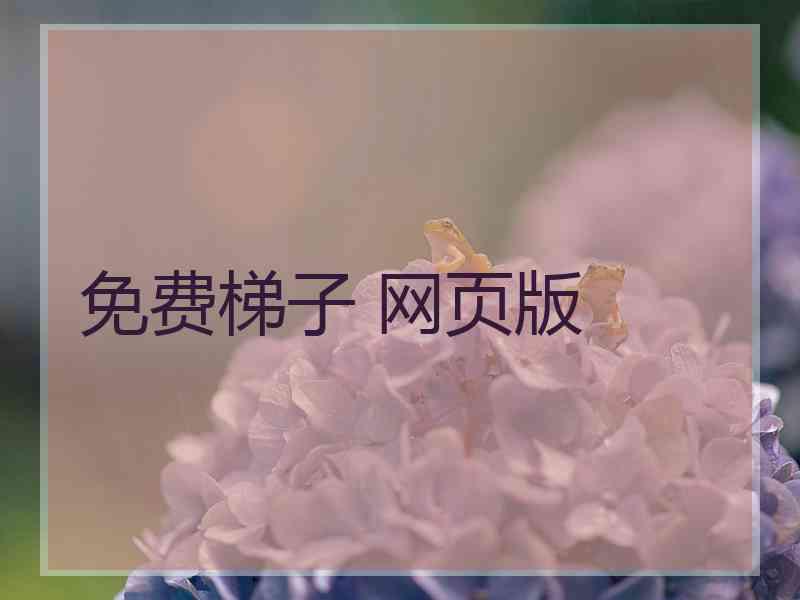 免费梯子 网页版