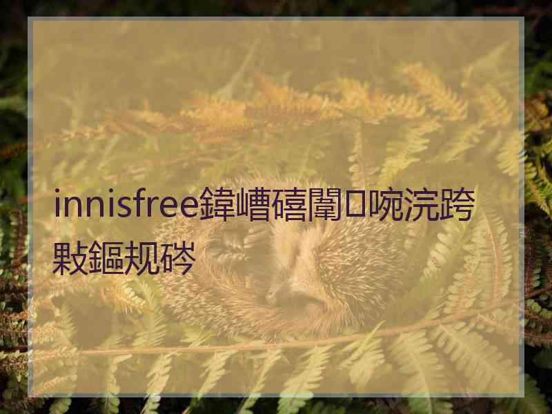 innisfree鍏嶆礂闈㈣啘浣跨敤鏂规硶