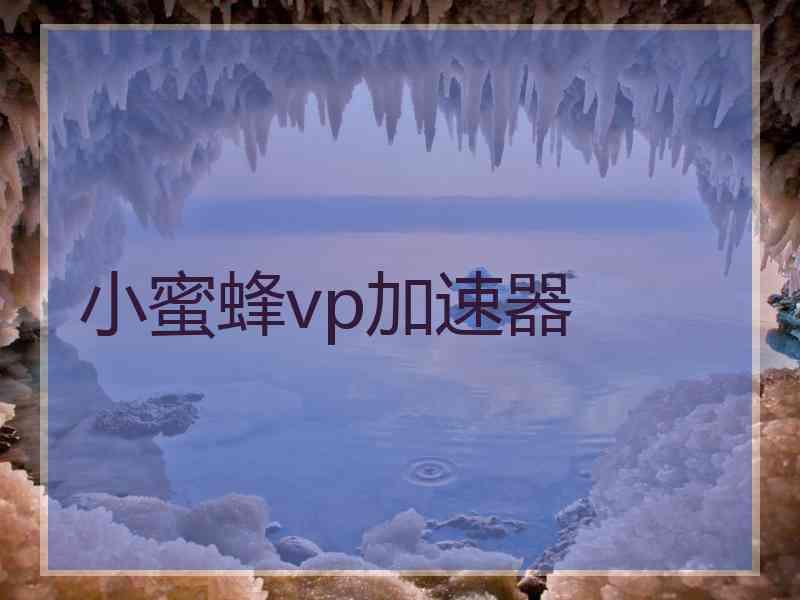 小蜜蜂vp加速器