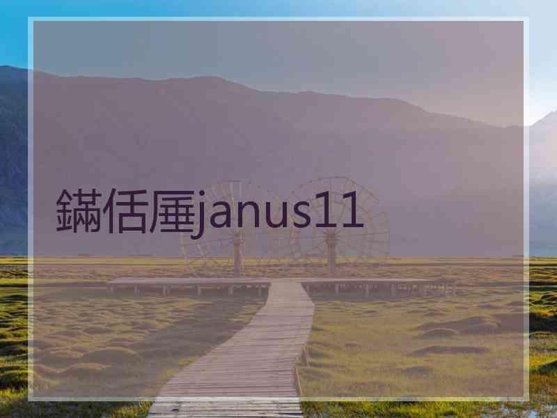 鏋佸厜janus11