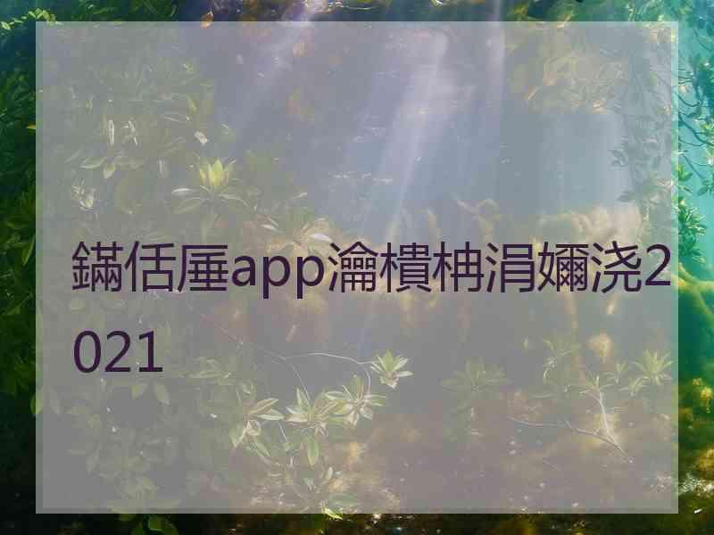 鏋佸厜app瀹樻柟涓嬭浇2021