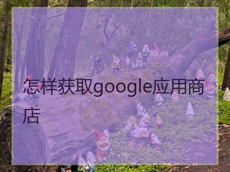 怎样获取google应用商店