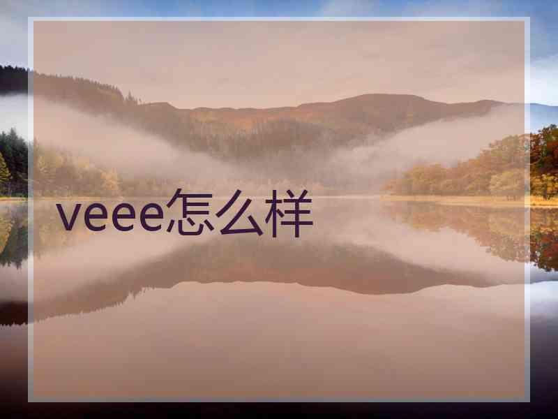 veee怎么样