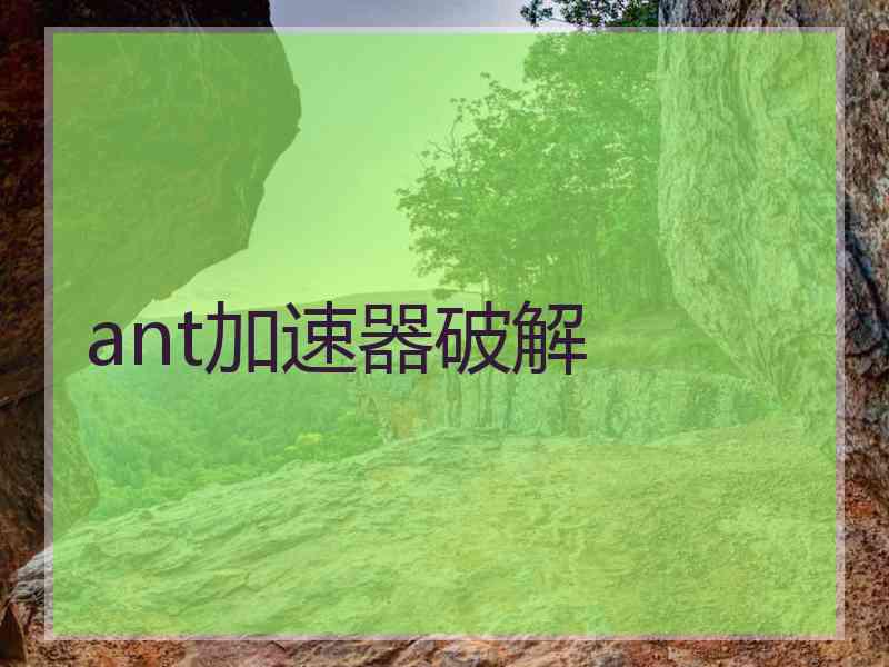 ant加速器破解