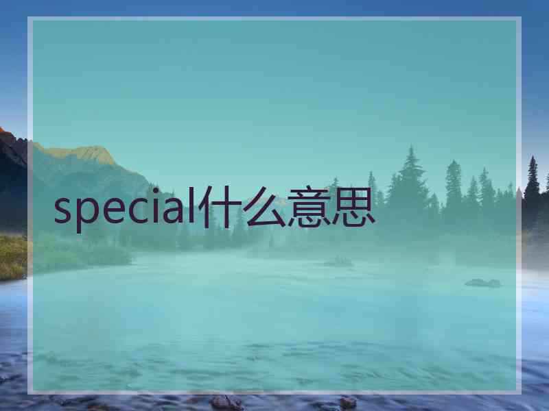 special什么意思