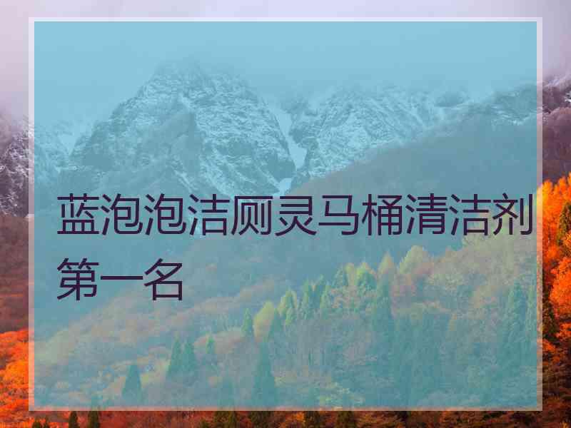 蓝泡泡洁厕灵马桶清洁剂第一名