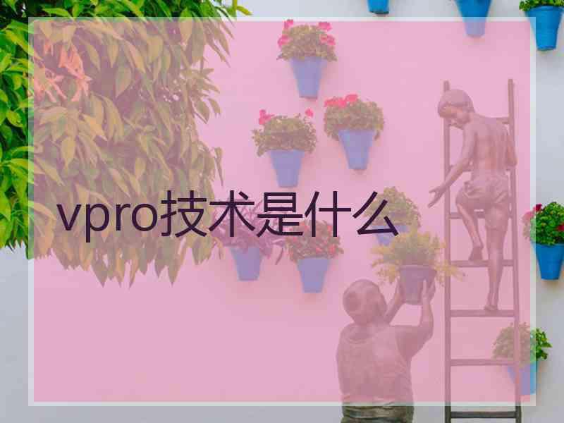 vpro技术是什么