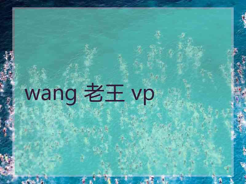 wang 老王 vp