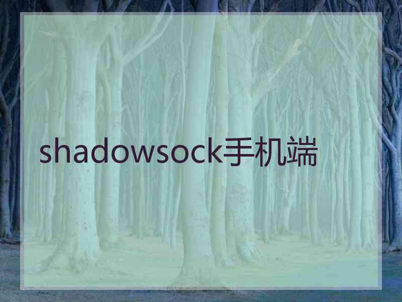 shadowsock手机端