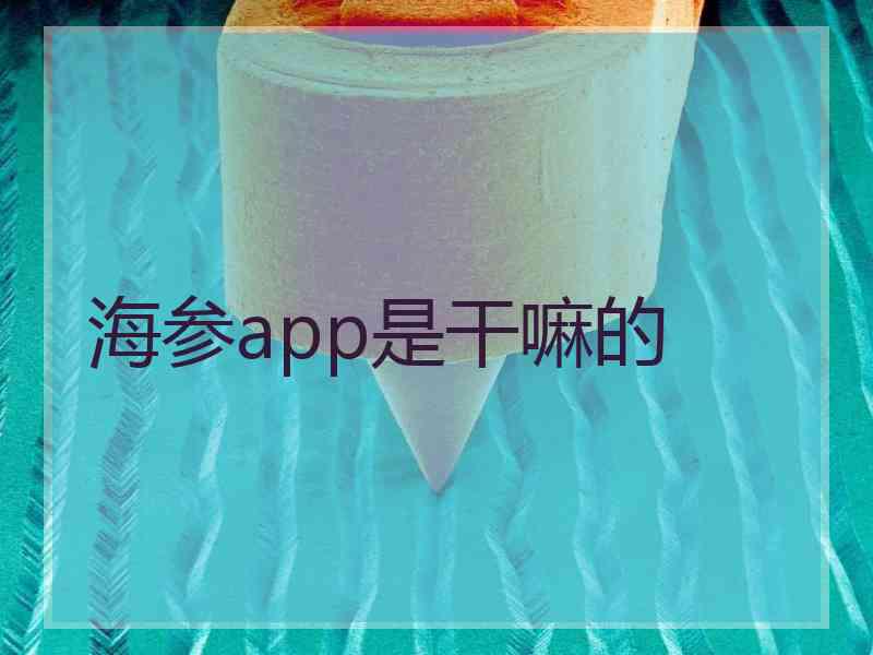 海参app是干嘛的